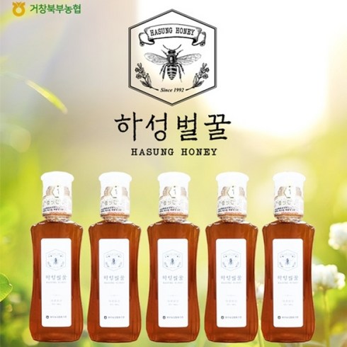 추천하는 농협안심특화꿀 야생화500g3병때죽나무꿀500g x 2병 추천상품