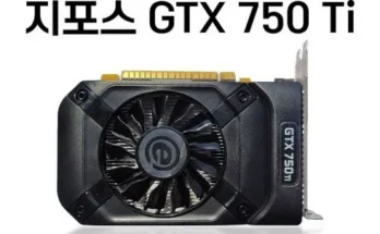 합리적인 당신을 위한 gtx750ti 추천상품